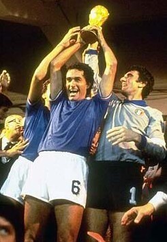 段因阵容轮 段因阵容轮